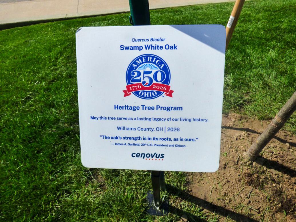 Heritage Tree planted at courthouse | News | bryantimes.com