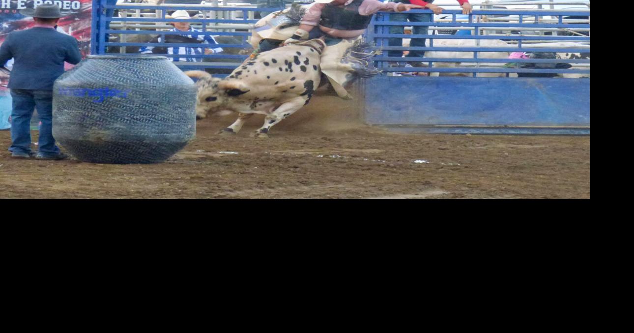 Bullriding at the Williams County Fair