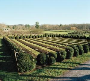 Winterizing Your Garden Local News Bryantimes Com