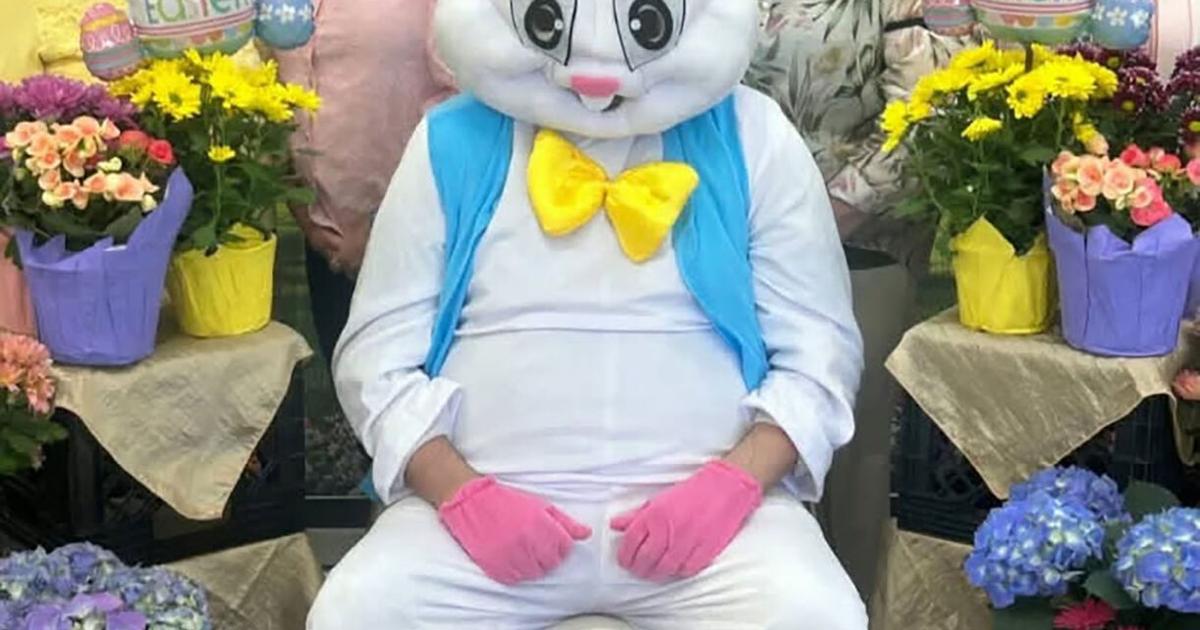 Edited Sigma Rabbit Preceptor Sigma help with Easter Bunny visit | Social | bryantimes.com