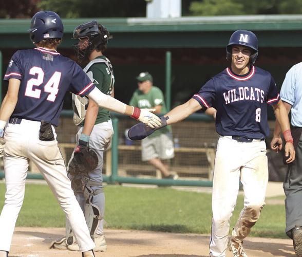 Napoleon, Bryan ACME baseball top Tinora in District 1 tournament; Wildcats earn state berth