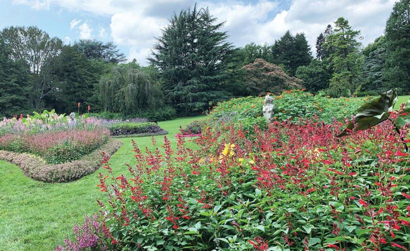 Morris Arboretum & Gardens goes Mesazoic | Archives | buckscountyherald.com