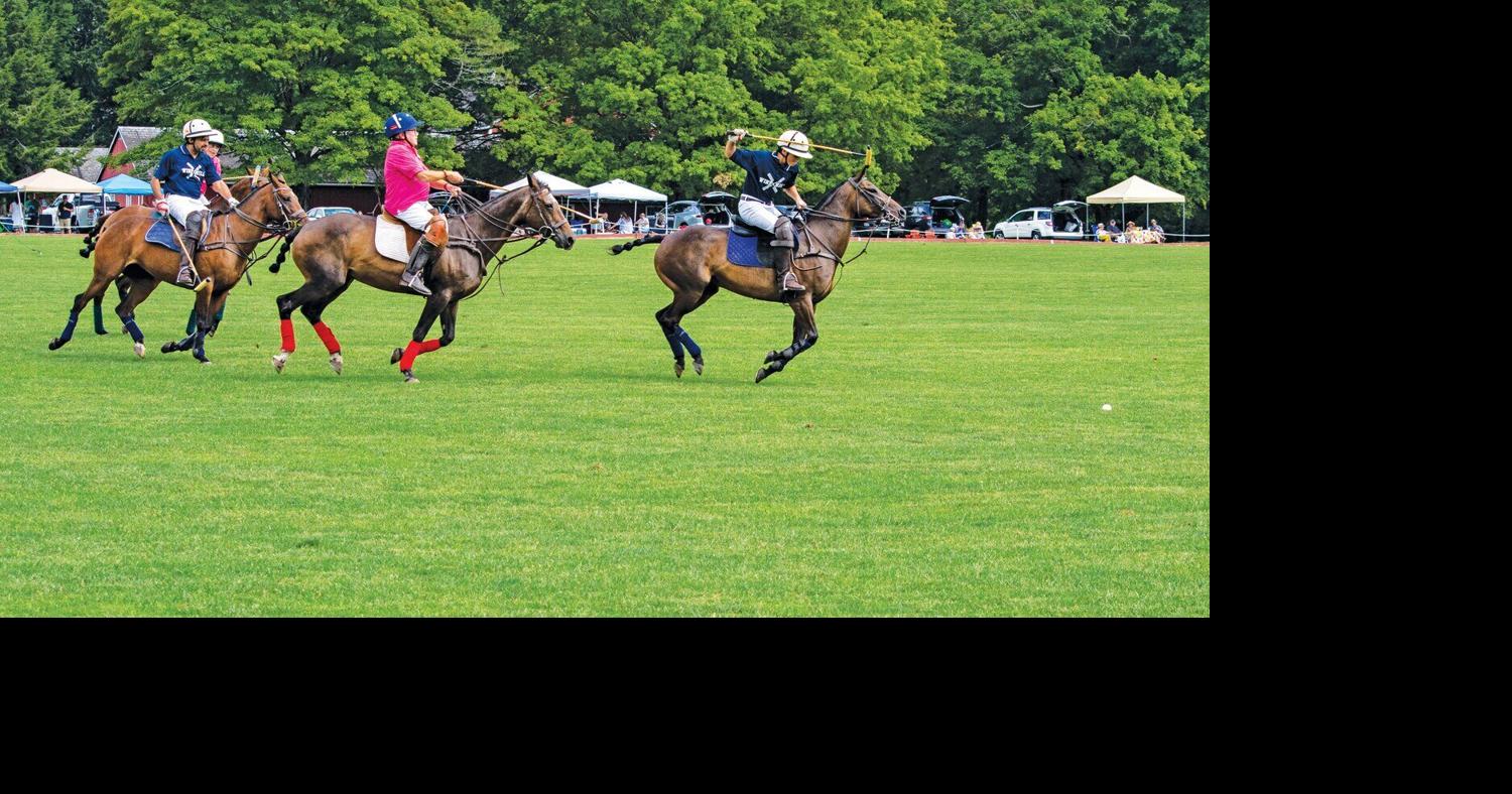 A day of pooches and polo at Tinicum Park Photo Galleries