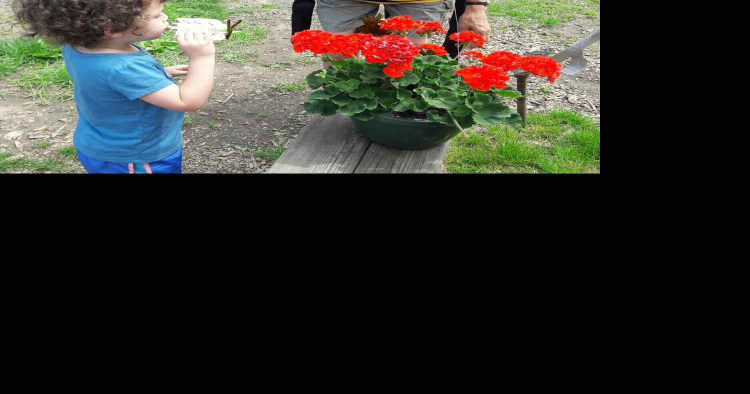 Read Pick: Monarchs Swallowtails and Honeybees Oh My Calendar