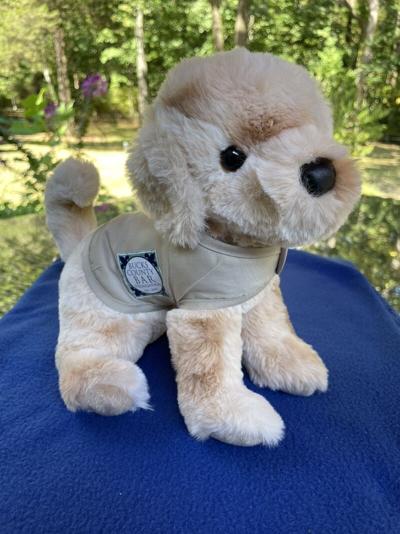 Bucks County Bar Association supports Roxy Therapy Dogs program | Pets ...