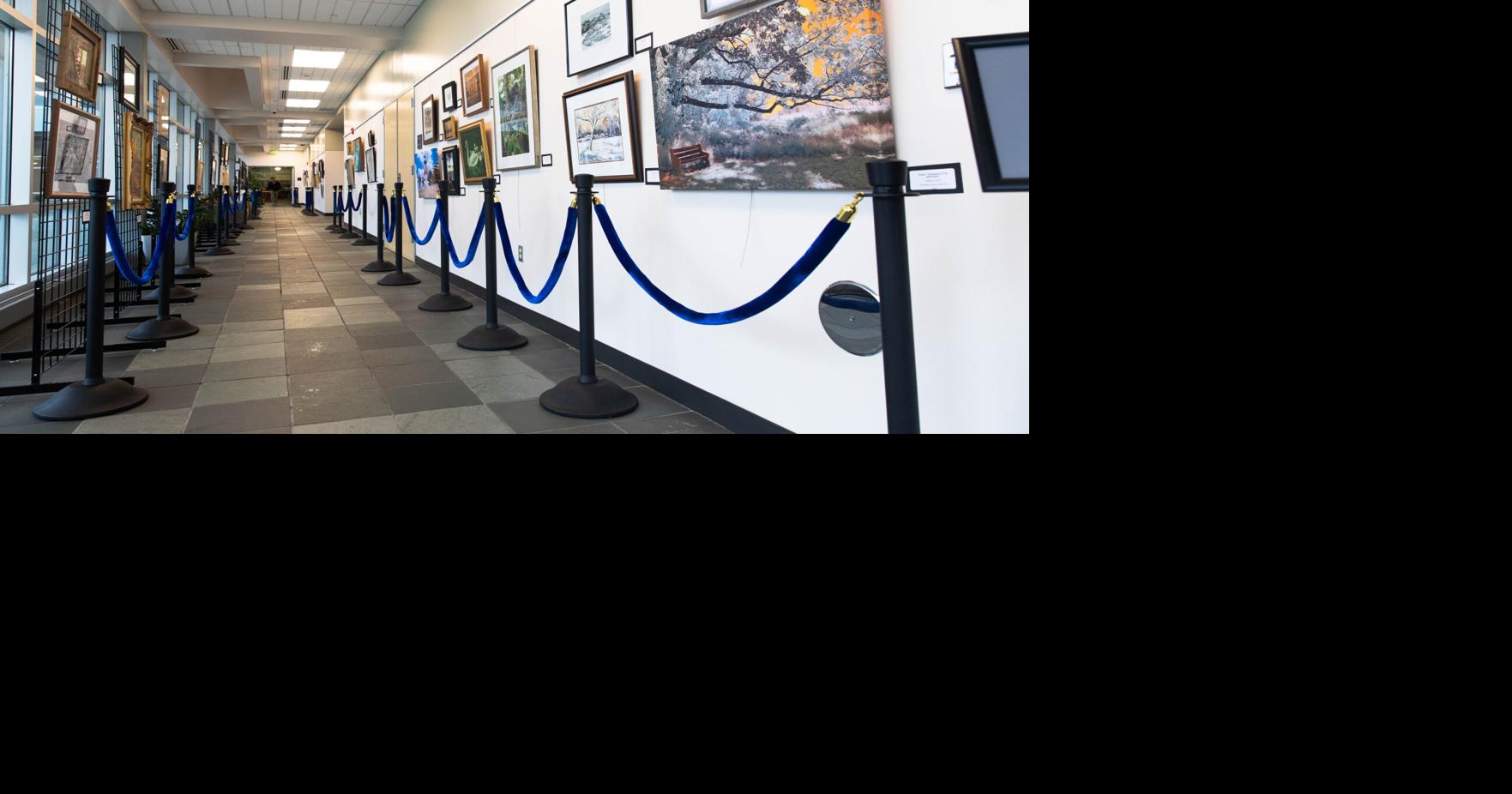 Bucks County Community College sets Spring Art Exhibitions | Art ...