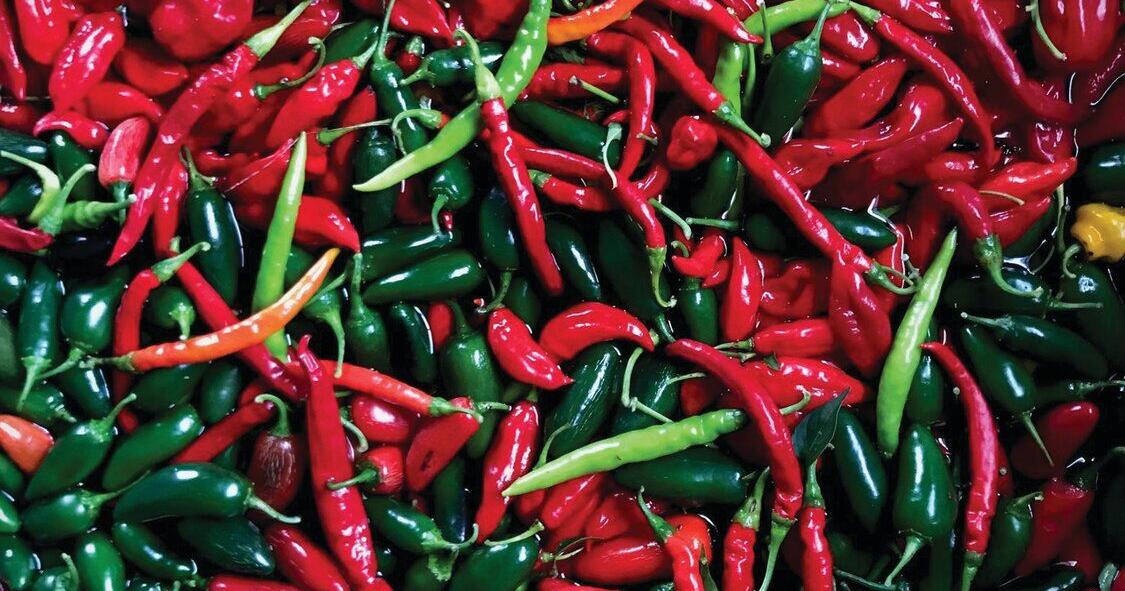 Spice it up with peppers from “Roots to River” | Local Harvest ...