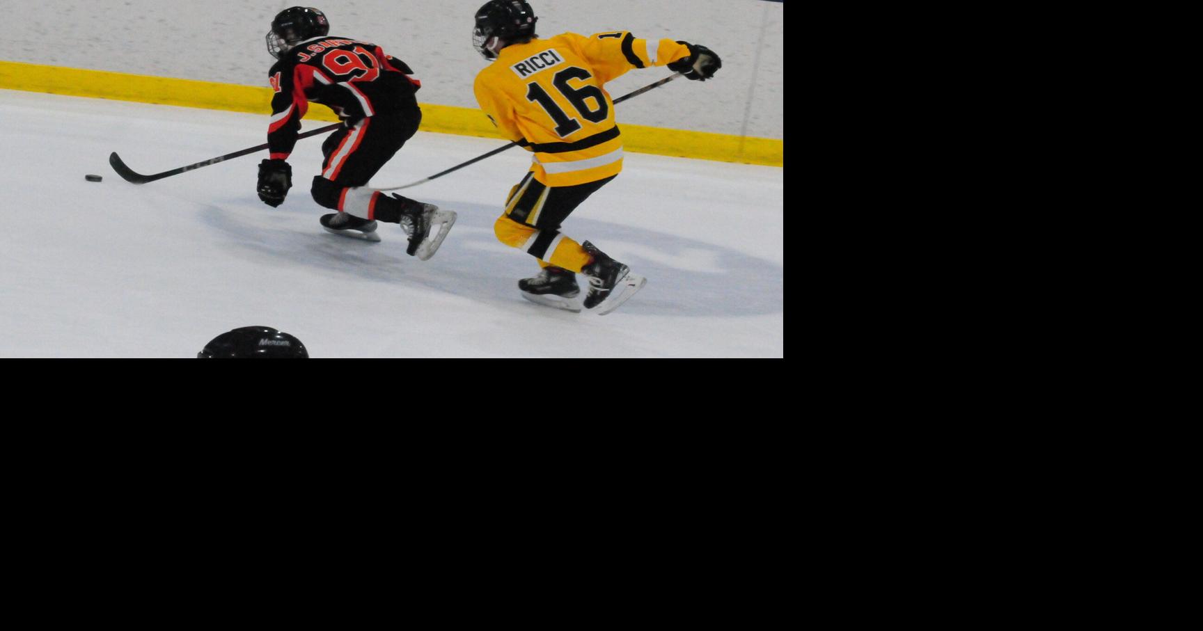 Ice hockey: Shane Gleisner leading balanced scoring attack for ...