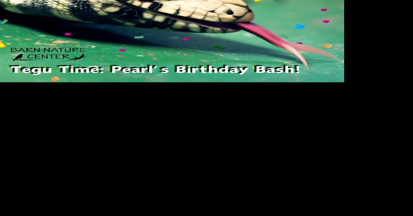 Tegu Time: Pearl's Birthday Bash | Community | buckscountyherald.com