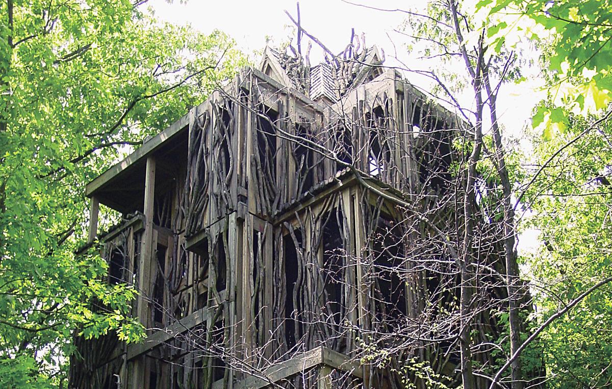 CayugaNatureCenter-TreeHouse