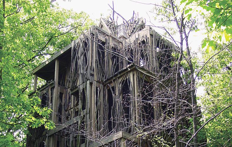 CayugaNatureCenter-TreeHouse