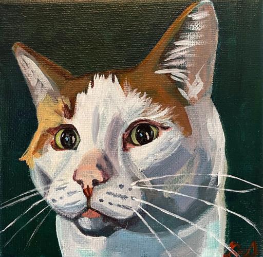 Danielle-Saeva-cat.jpg