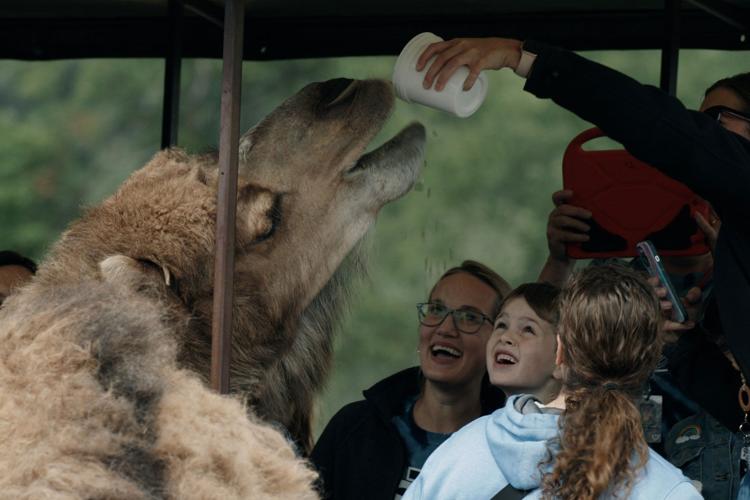 zoo-2.jpg