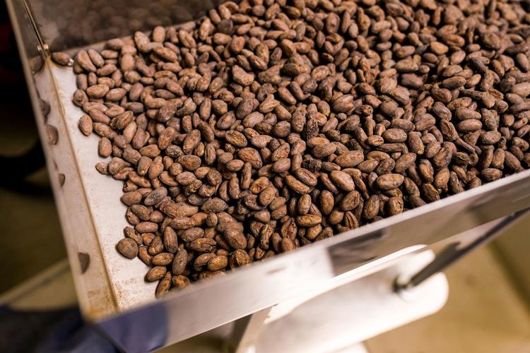 Making chocolate with Dark Forest