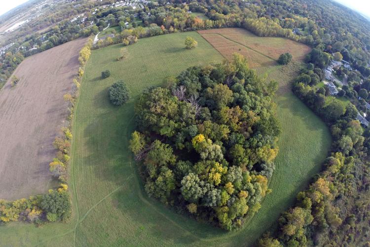 Island-Preserve-_Genesse-Valley-Conservancy.jpg