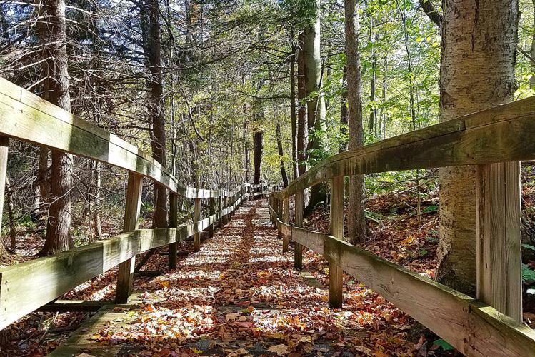 Jenny-Glen-Boardwalk.jpg