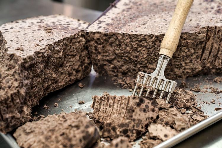 Making chocolate with Dark Forest