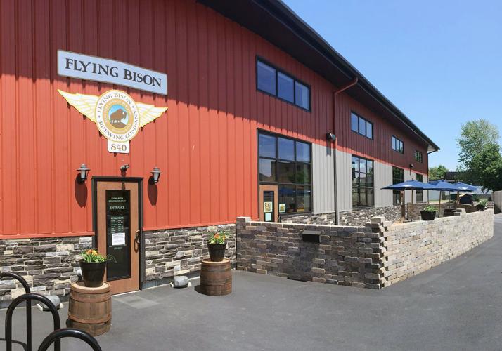 Flying-Bison