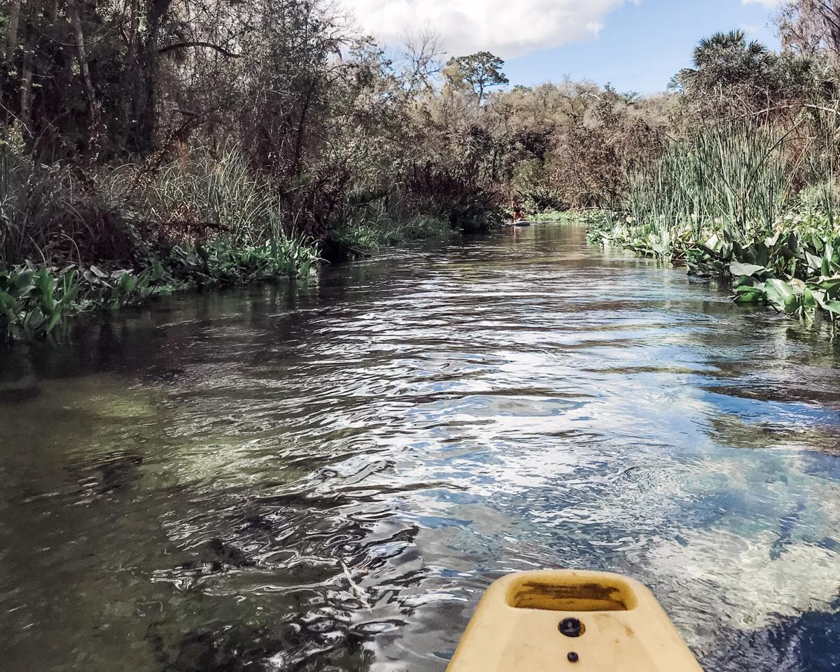 Kings-Landing-Kayak-Trip-1.jpg