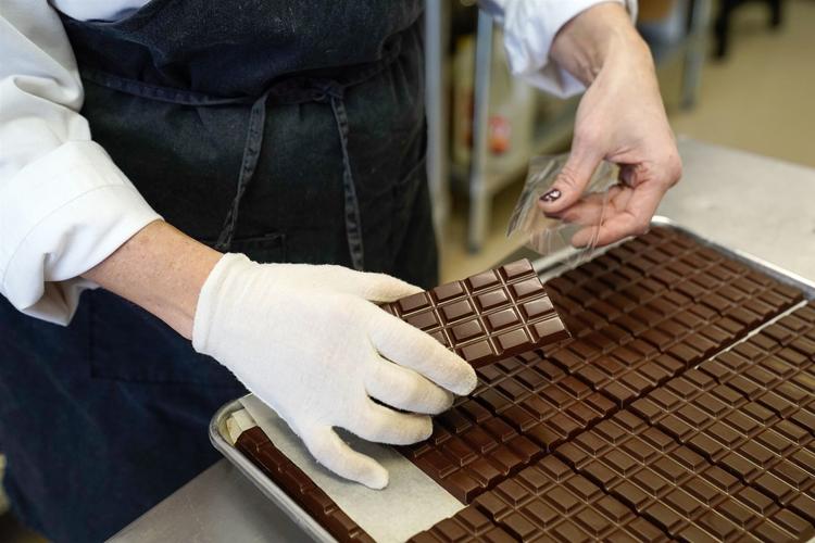 Making chocolate with Dark Forest