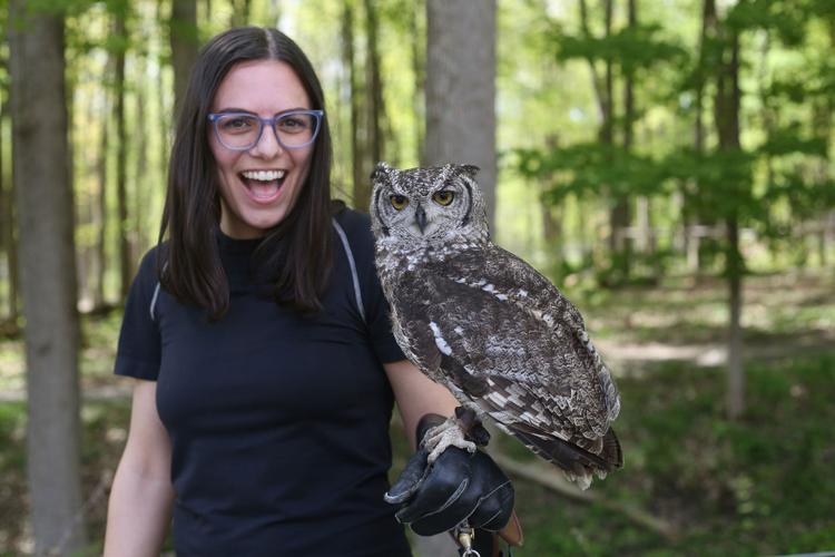Owl-Exp_Hannah-Brenner - Copy.jpg