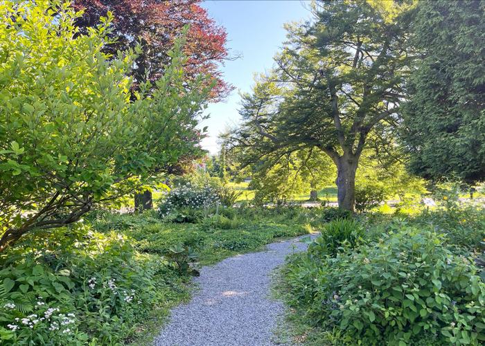 Botanical Gardens