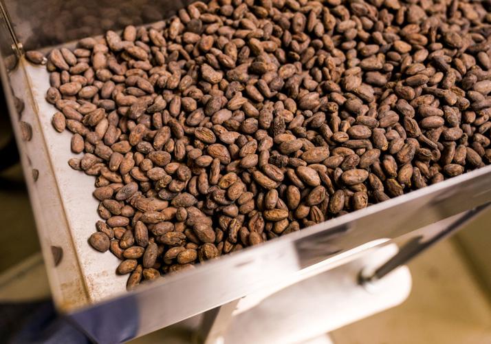Dark-Forest-beans