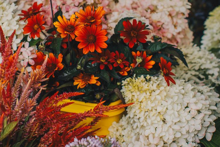 flower-2.jpg