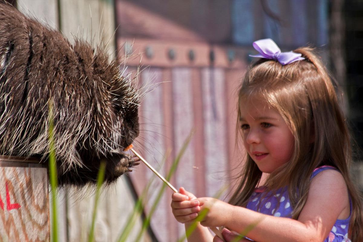 zoo-1.jpg