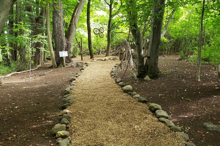 Fairy-House-Lane.jpg