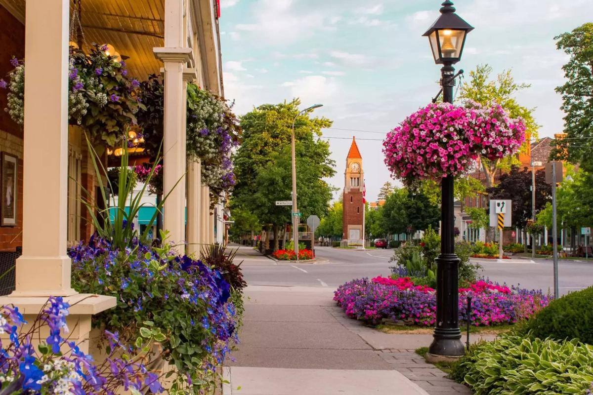 NOTL-1.jpg