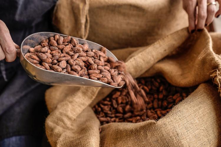 Making chocolate with Dark Forest