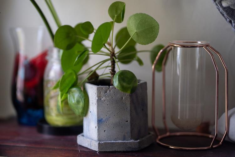 FluidKatie-planter.jpg
