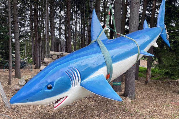 Blueberry-Treehouse-Farm-shark.jpg