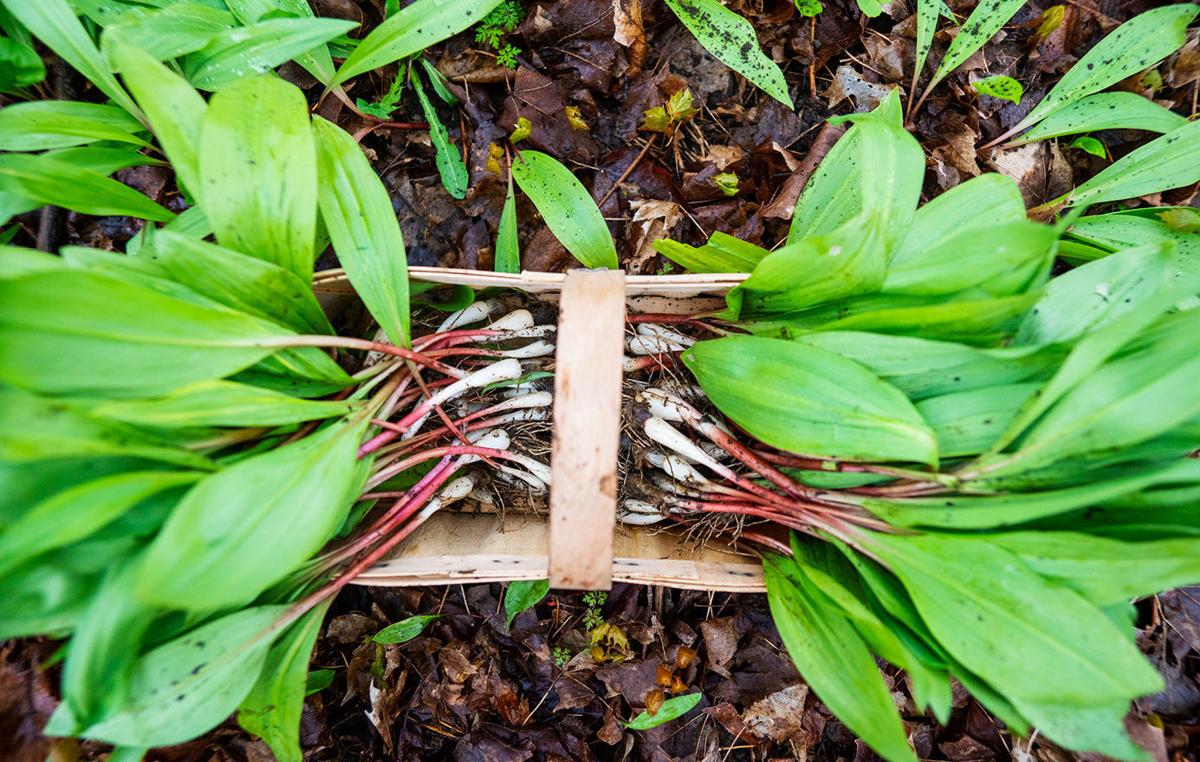 Ramps
