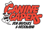 Canine Capers Dog Daycare and Grooming