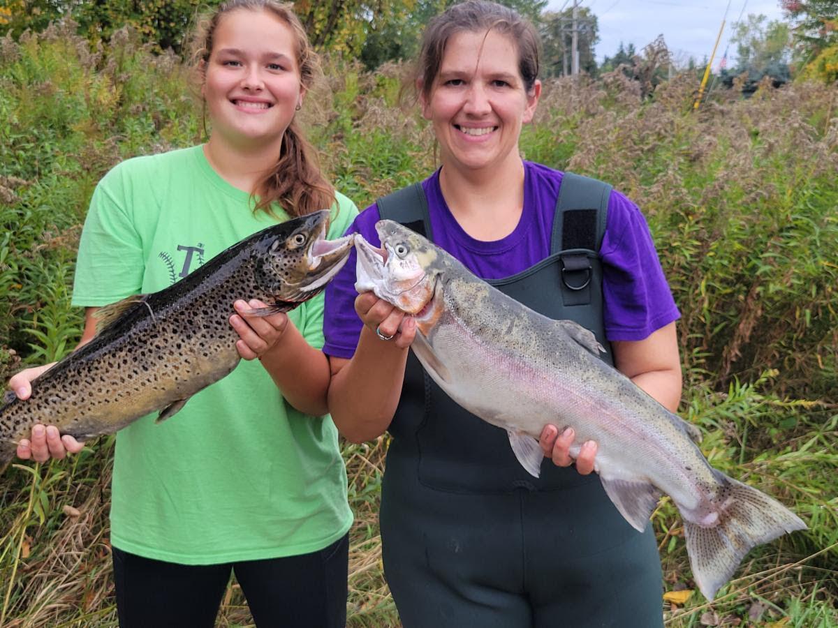Oak Orchard River brown trout