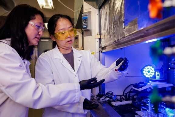 Blue lights and textbook chemistry could help create complex drugs in fewer steps