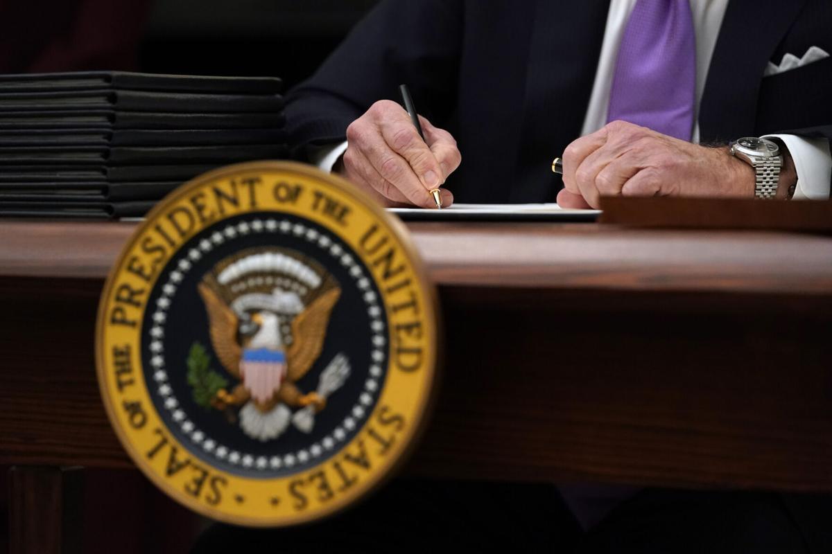 Biden 100 Days (copy)