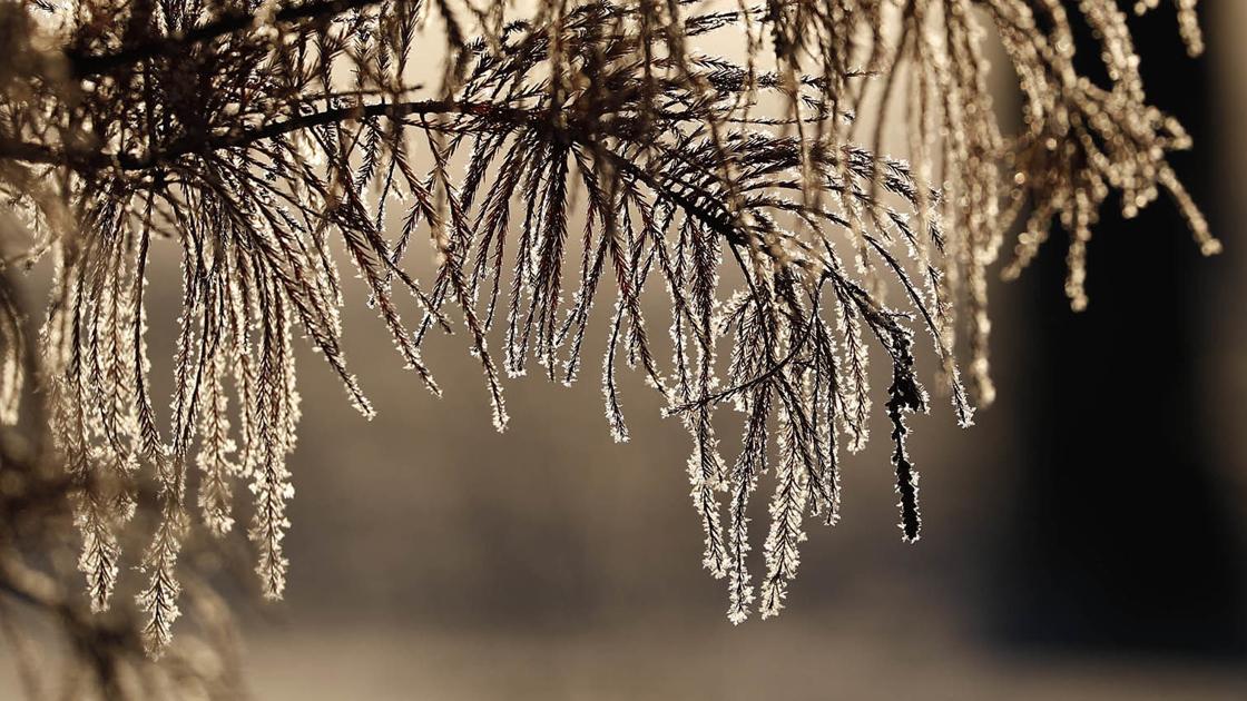 Winter Weather Advisory Extended After Treacherous Sunday On Local