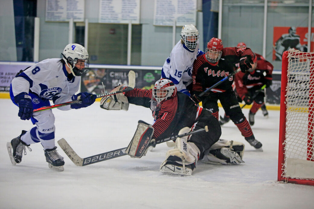 All-Federation honor roll: Meet the top boys hockey players in WNY