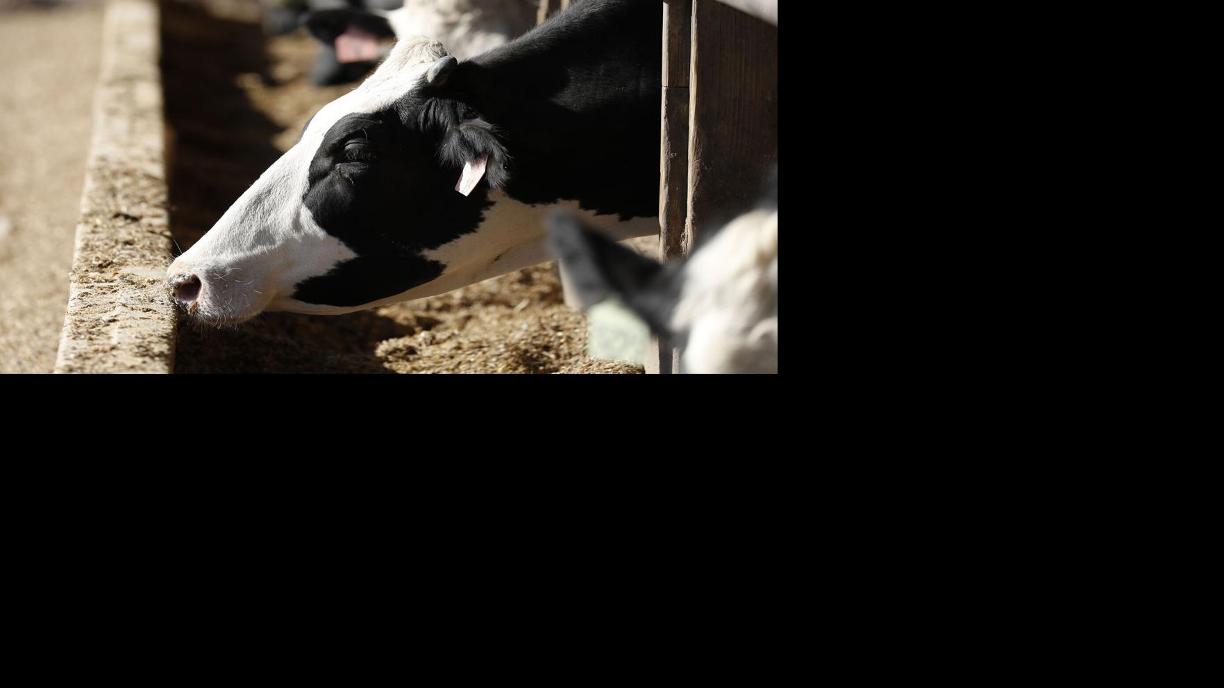 Springville Animal Feed Company Acquired By National Competitor