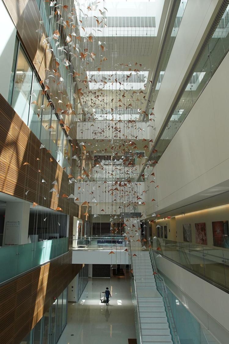 Lifesavers How the 10yearold Gates Vascular Institute lifted WNY