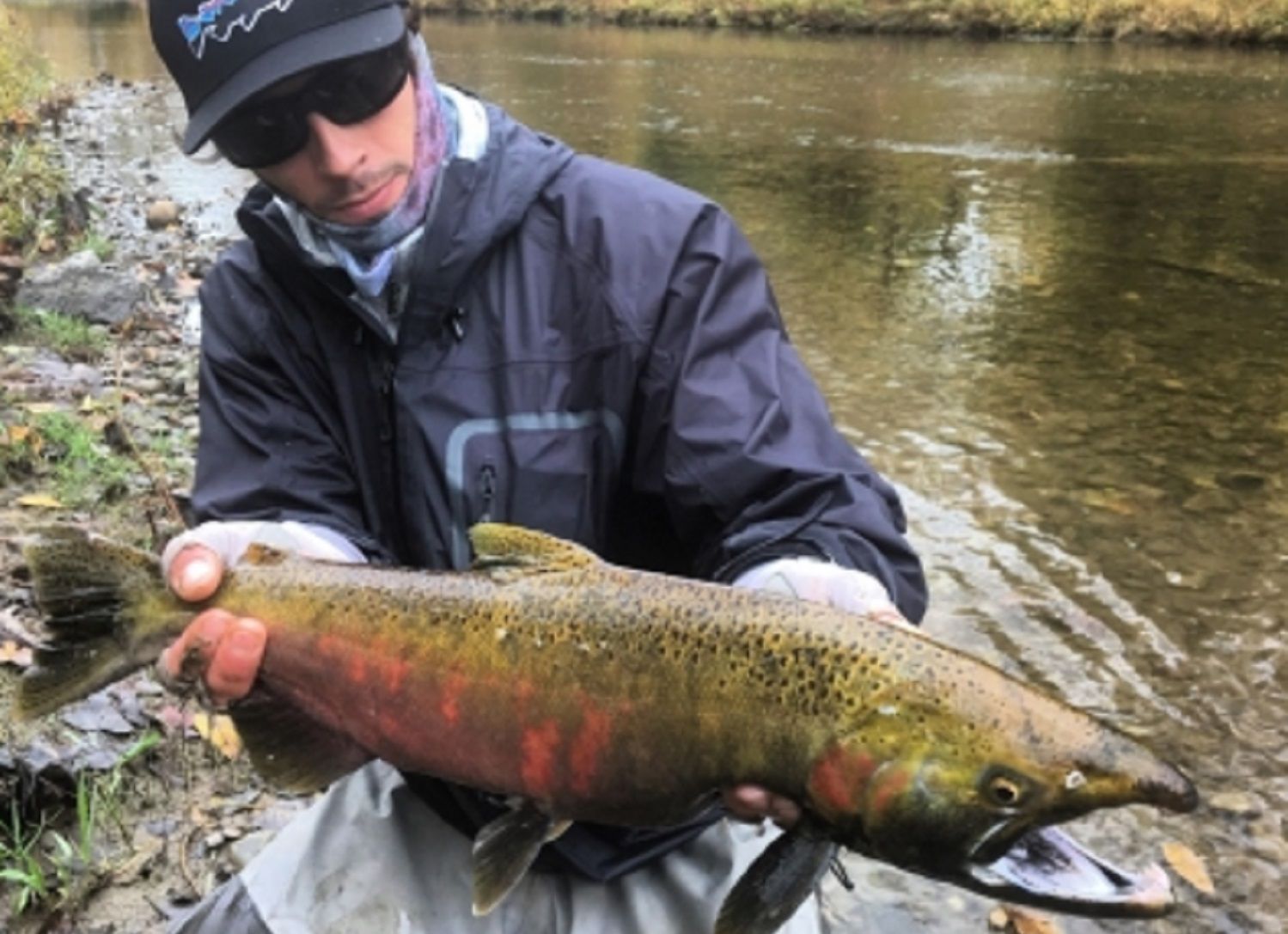 oak orchard tackle and lodge