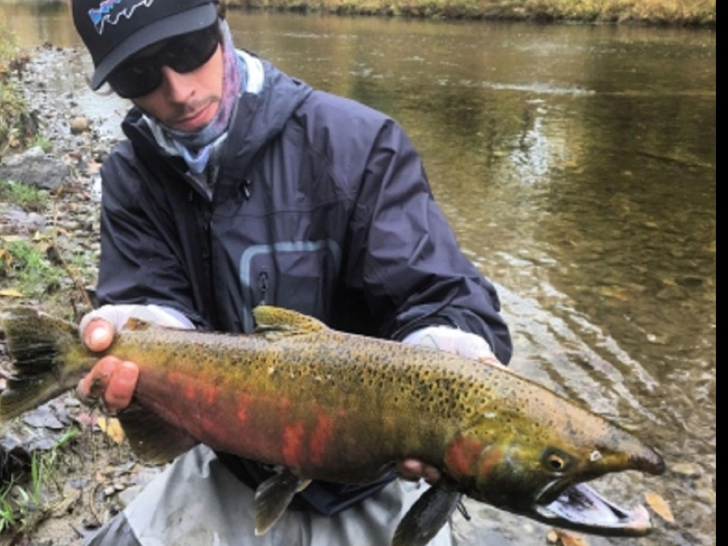 The Fishing Beat Oct 23 2019 Buffalo Sports Buffalonews Com