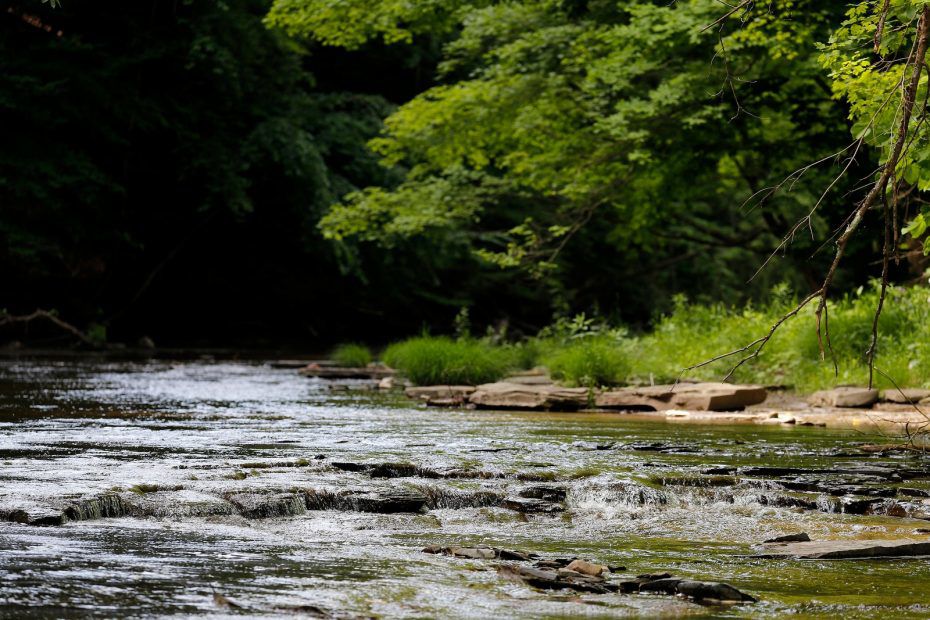 Saving Mossy Point 'It’s awesome, it’s threatened,' it matters to
