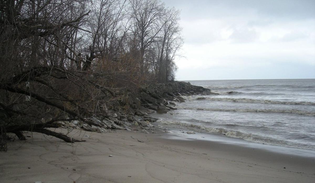 Ohio S Sheldon Marsh Features Wetlands Wild Lake Erie Beach