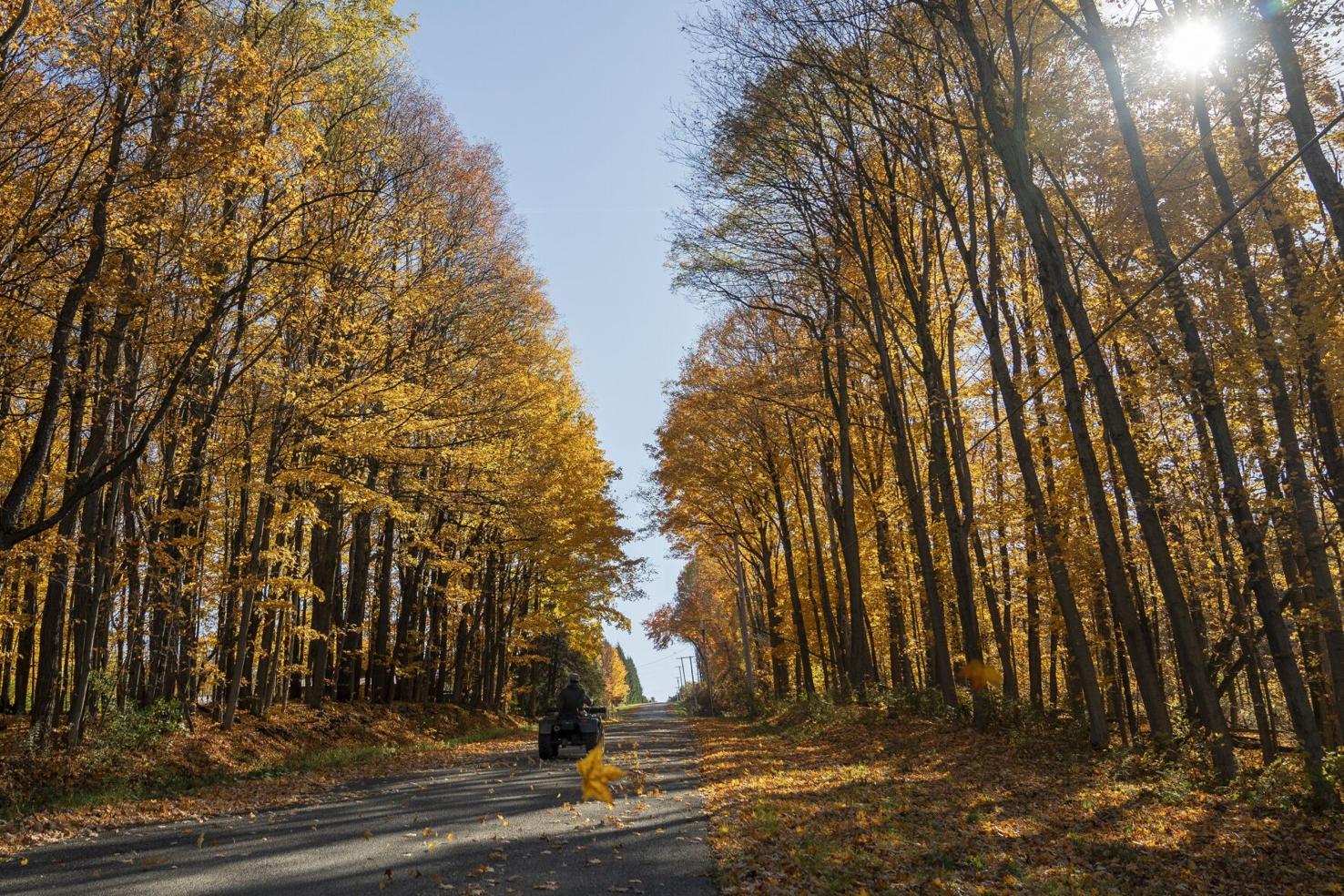 Photos Fall foliage around Western New York