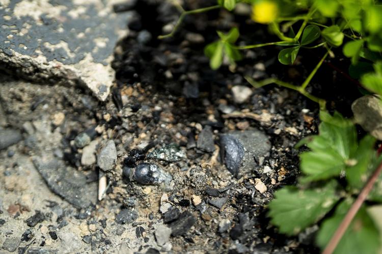 Contaminants found in Niagara Falls yard