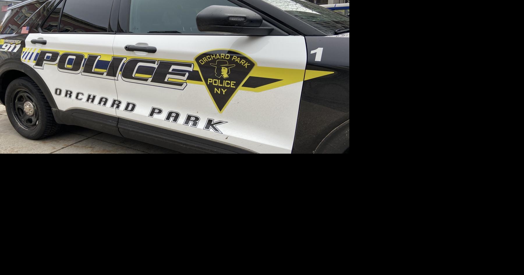 Driver charged after person struck near Highmark Stadium